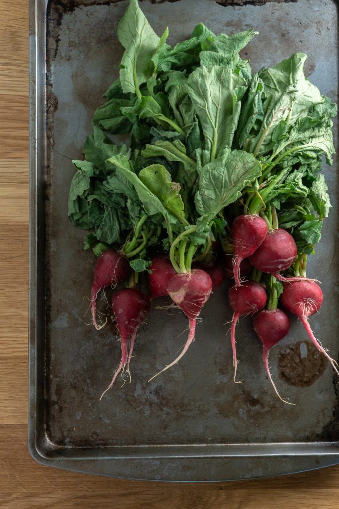 A bunch of radishes with leafy greens on an old baking sheet